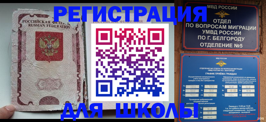 прописка гарантия в Тайге